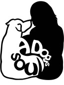Hundepsychologie, Verhaltensberatung und Hundetraining in Wien und Umgebung